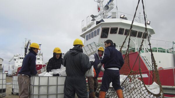 Un buque pesquero descarga en las Islas Malvinas en 2013 - Sputnik Mundo