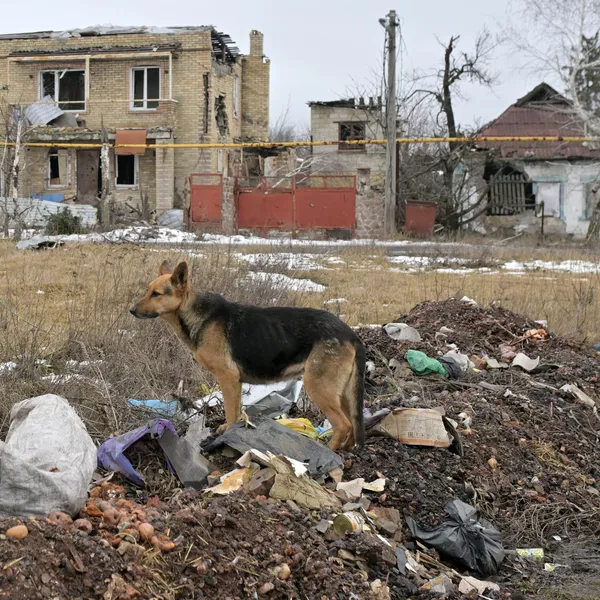 Distruzione a Marinka, Repubblica popolare di Donetsk - Sputnik World