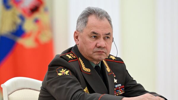 Serguéi Shoigú, ministro de Defensa ruso - Sputnik Mundo
