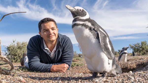 Biólogo marino argentino gana el Nobel de Conservación por su trabajo con pingüinos - Sputnik Mundo