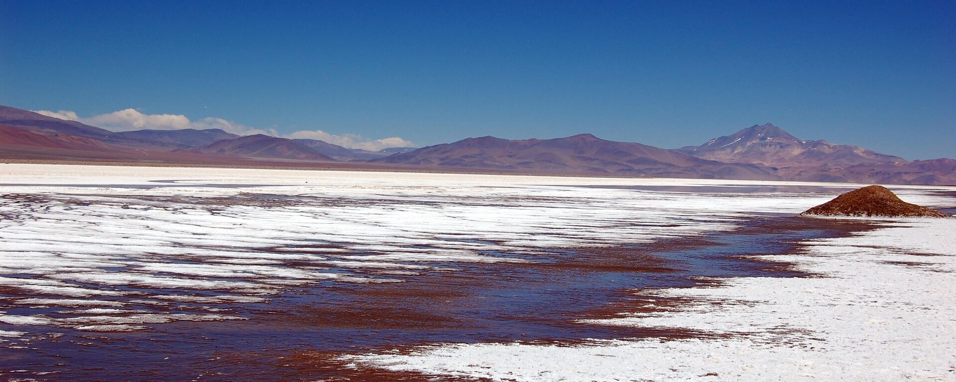 Salar de Maricunga, región de Atacama, Chile - Sputnik Mundo, 1920, 01.06.2023