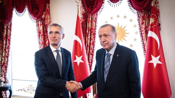 El secretario general de la OTAN, Jens Stoltenberg, y el Presidente turco, Recep Tayyip Erdogar, este domingo en Estambul. - Sputnik Mundo