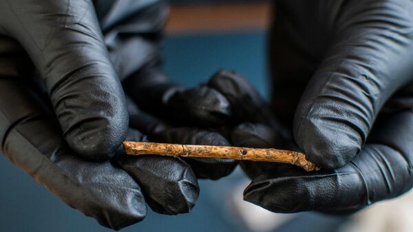 La flauta de 12.000 años de antigüedad en el norte de Israel - Sputnik Mundo