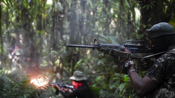 Miembros del frente Ernesto Che Guevara, perteneciente a la guerrilla del Ejército de Liberación Nacional (ELN), en la selva del Chocó, Colombia, el 26 de mayo de 2019.  - Sputnik Mundo