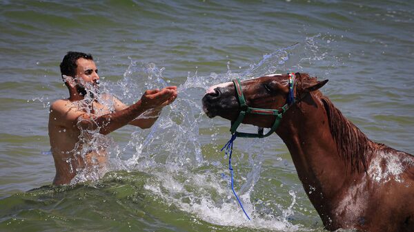Мужчина обливает лошадь морской водой жарким летним днем в городе Газа - Sputnik Mundo