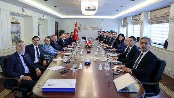Ministro de Energía turco aborda con jefe de Rosatom construcción de la planta de Akkuyu - Sputnik Mundo
