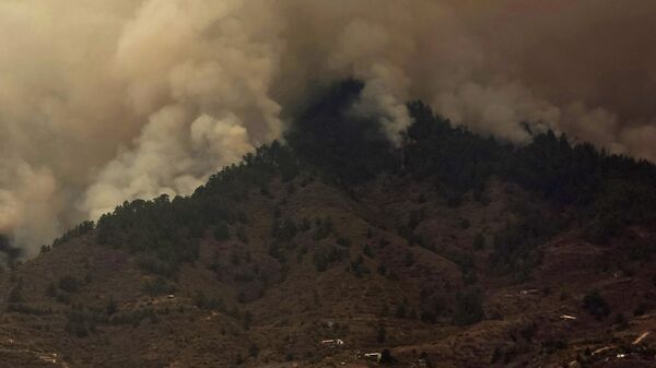 Incendios forestales en Tenerife - Sputnik Mundo