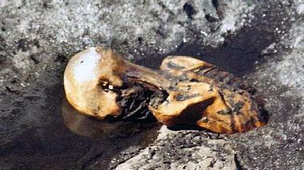 Ötzi, 'el hombre de hielo' aún congelado en el glaciar tras el descubrimiento del cadáver en septiembre de 1991 - Sputnik Mundo