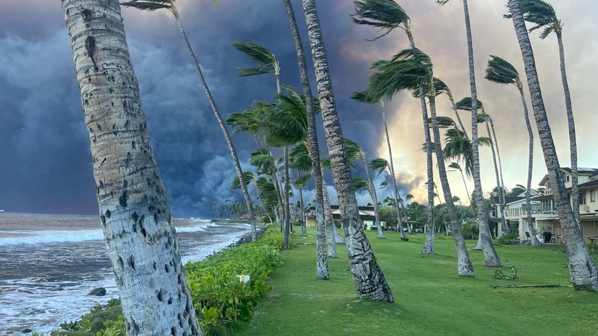 El huaracán Dora y un incendio descomunal arrasaron con la localidad de Lahaina, en Maui, el 8 de agosto.  - Sputnik Mundo, 1920, 11.09.2023