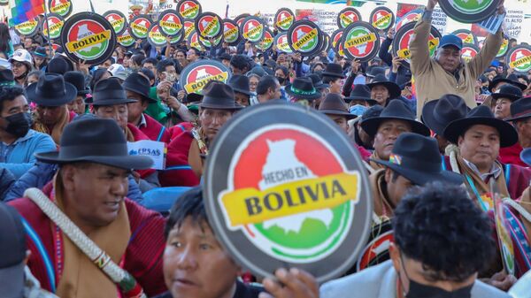 Anuncio de la creación de la Industria Boliviana Química  - Sputnik Mundo