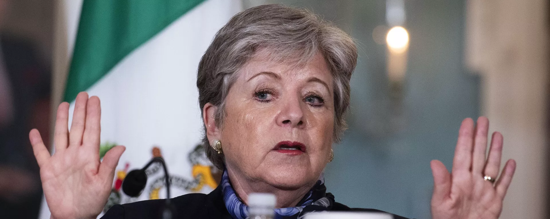 Alicia Bárcena, la secretaria de Relaciones Exteriores de México - Sputnik Mundo, 1920, 06.04.2024