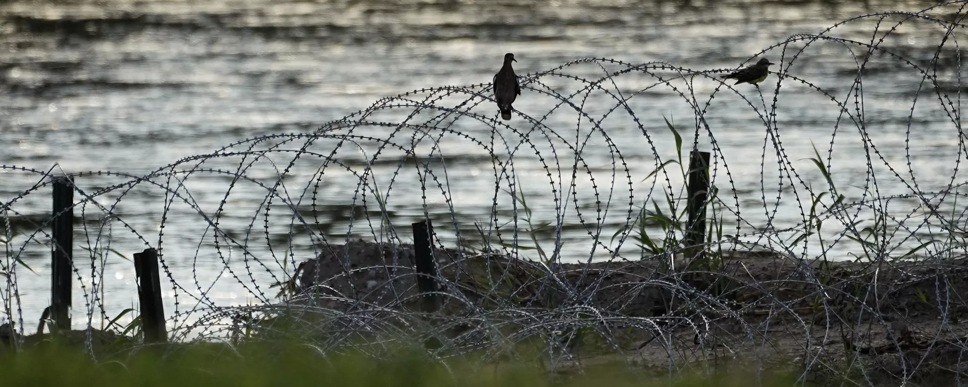 Texas es una de las zonas de EEUU que tienen frontera con México. - Sputnik Mundo, 1920, 29.01.2024