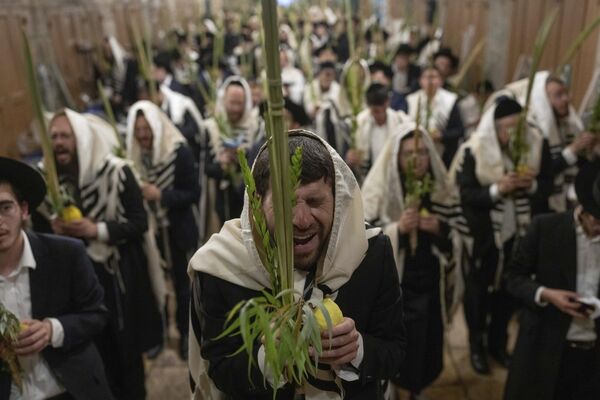 Los fieles celebran la festividad judía de Sucot cerca del Monte del Templo en la ciudad vieja de Jerusalén, Israel. Los fieles celebran la festividad judía de Sucot cerca del Monte del Templo en la ciudad vieja de Jerusalén, Israel. - Sputnik Mundo