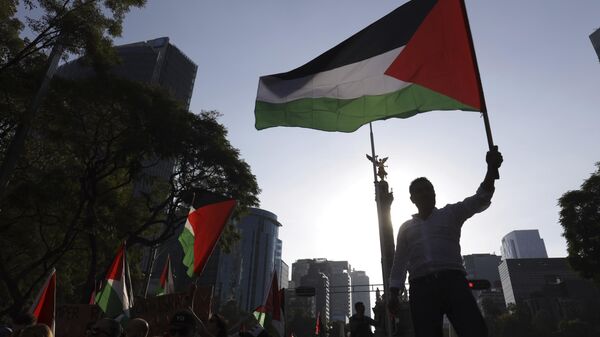 Una persona ondea una bandera palestina durante una marcha contra la última guerra entre Israel y Hamás y en apoyo a los palestinos de Gaza, en Ciudad de México - Sputnik Mundo