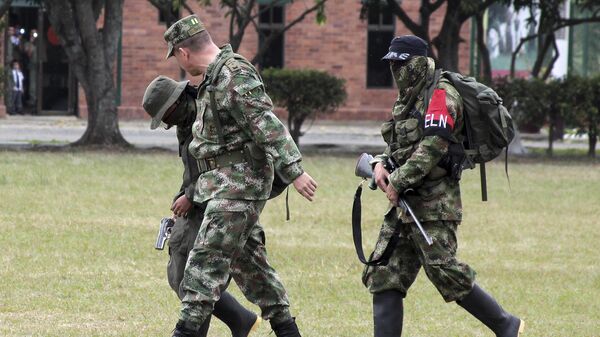 Miembros del Ejército de Liberación Nacional de Colombia - Sputnik Mundo