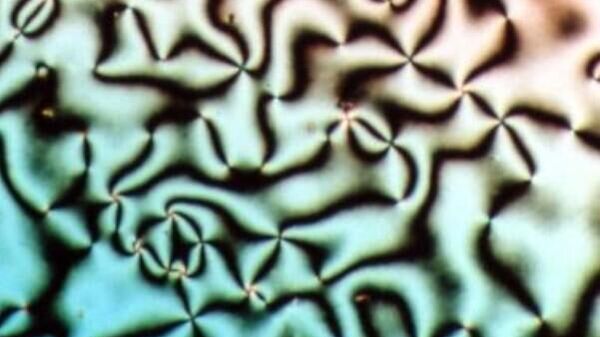 Textura de Schlieren de la fase nemática cristal líquido - Sputnik Mundo