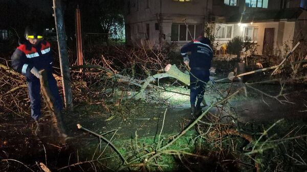Cerca de 500.000 habitantes de Crimea se quedan sin luz a causa de la tormenta - Sputnik Mundo