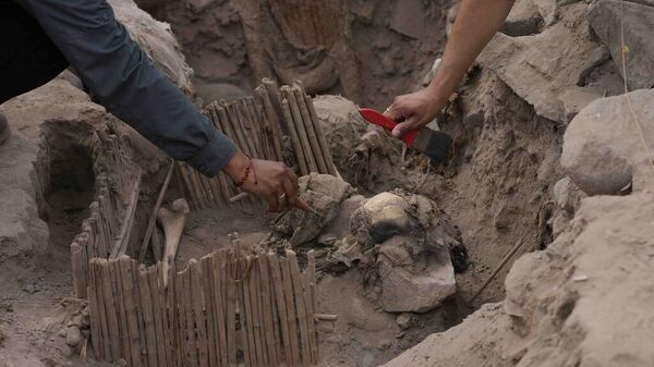 Momias peruanas en el yacimiento arqueológico de El Rimac, el 20 de noviembre de 2023 - Sputnik Mundo