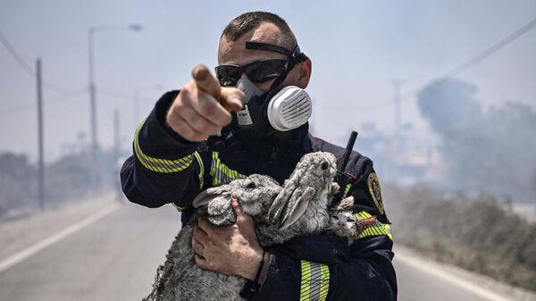 Un bombero con animales rescatados durante un incendio forestal en la isla griega de Rodas, 24 de julio de 2023. - Sputnik Mundo