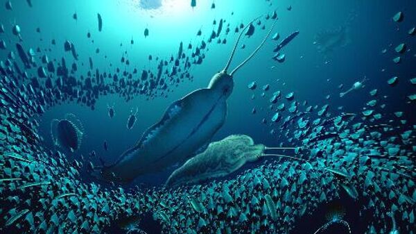 Una reconstrucción del ecosistema pelágico y de los organismos fosilizados en Sirius Passet, revelan cómo el Timorebestia fue uno de los mayores depredadores acuáticos hace más de 518 millones de años. - Sputnik Mundo