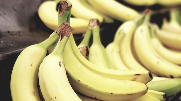 La industria del banano es una de las más relevantes de Ecuador. - Sputnik Mundo