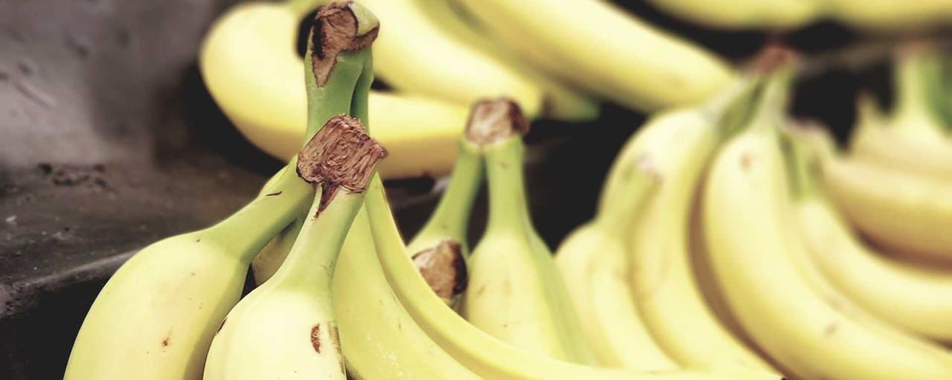 La industria del banano es una de las más relevantes de Ecuador. - Sputnik Mundo, 1920, 06.02.2024