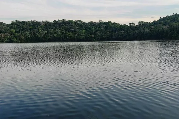 Parque Nacional Madidi en Bolivia - Sputnik Mundo