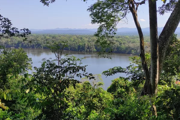 Parque Nacional Madidi en Bolivia - Sputnik Mundo