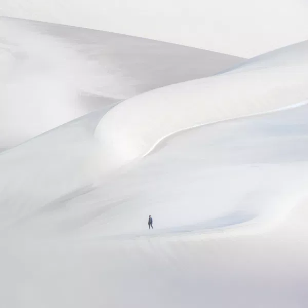 Una imagen del fotógrafo español Ignacio Palacios, tomada en la Puna, Argentina, ganó la categoría Una foto: Una vida más tranquila (MPB One Shot: a Quieter Life). - Sputnik Mundo