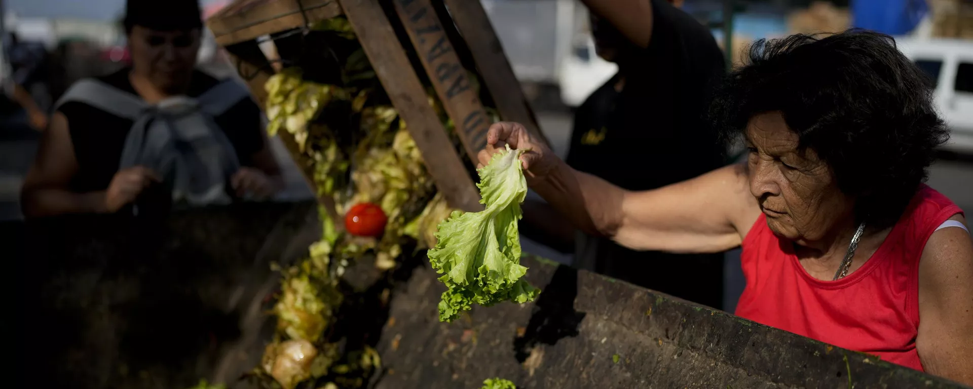 Una anciana recoge verduras en un mercado de Buenos Aires - Sputnik Mundo, 1920, 26.01.2024