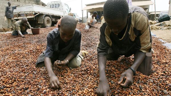 Niños africanos trabajando en una plantación de cacao (archivo) - Sputnik Mundo