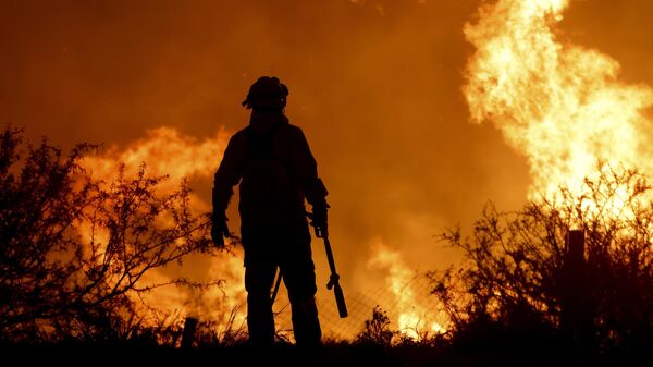 Incendio forestal en Argentina (archivo) - Sputnik Mundo