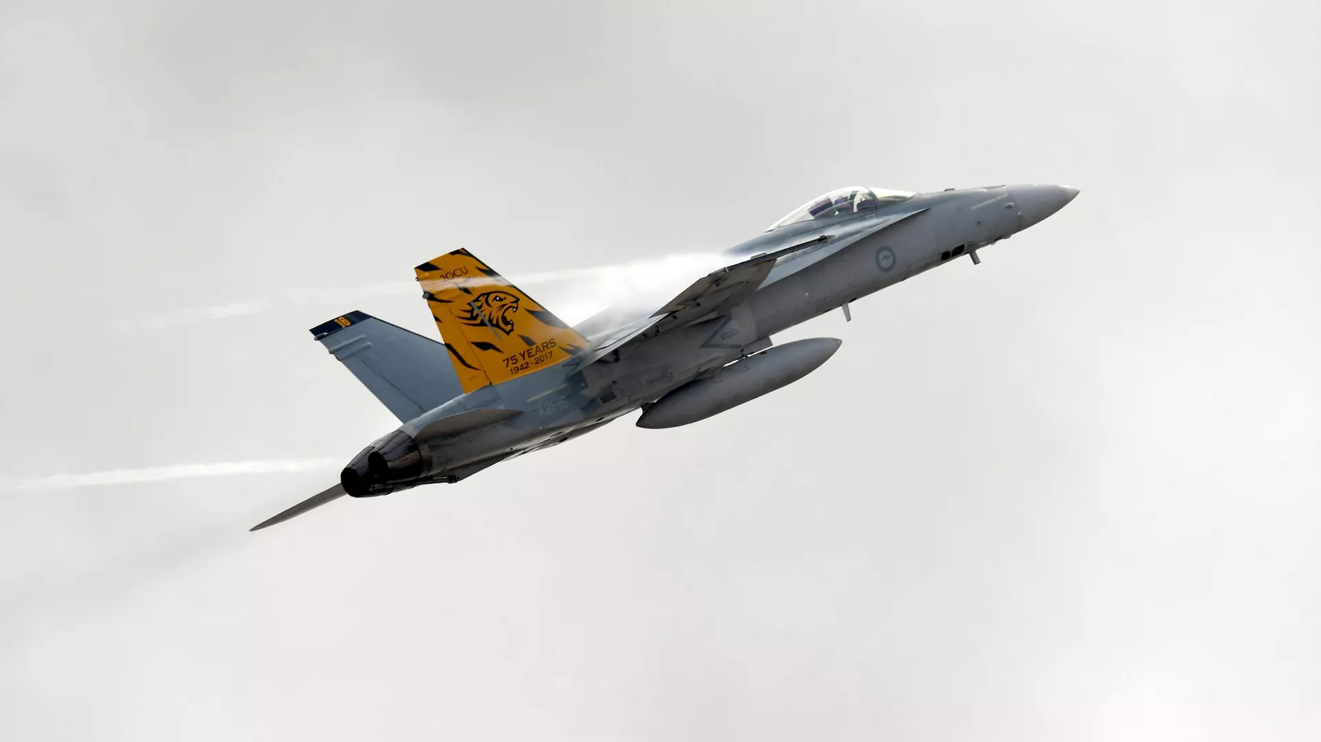 Un avión F/A-18 Hornet de la Real Fuerza Aérea Australiana vuela durante el Australian International Airshow en Melbourne el 5 de marzo de 2017.  - Sputnik Mundo, 1920, 01.02.2024