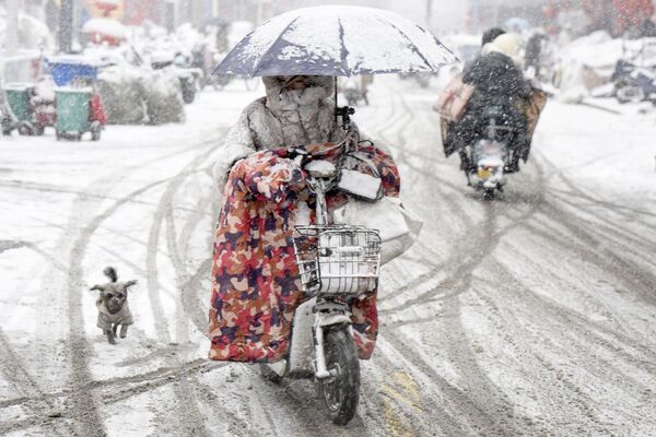 Una mujer en moto durante una fuerte nevada en la provincia china de Jiangsu. - Sputnik Mundo