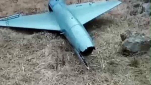 Un dron Banshee Jet-80 de fabricación británica, derribado por los militares rusos - Sputnik Mundo
