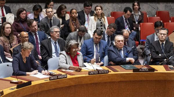 El Consejo de Seguridad de la ONU  - Sputnik Mundo