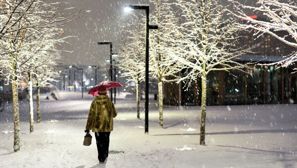 Женщина с зонтом идет по парку Музеон во время снегопада в Москве - Sputnik Mundo