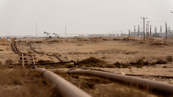 Barril de petróleo a 40 dólares amenazaría a la propia OPEP - Sputnik Mundo