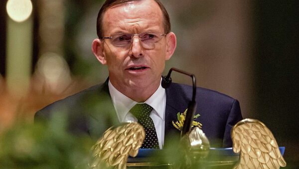 Tony Abbott, primer ministro de Australia - Sputnik Mundo