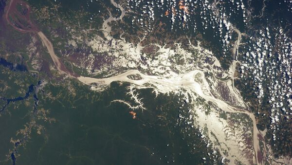 Río Amazonas de América del Sur - Sputnik Mundo
