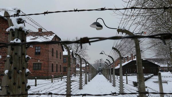 А general view of the former Nazi German concentration and extermination camp Auschwitz in Oswiecim January 26, 2015. - Sputnik Mundo