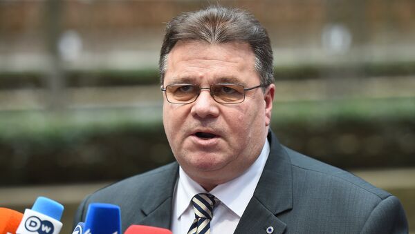 Lithuania's Foreign Minister Linas Linkevicius talks to journalists as he arrives for an emergency meeting of Foreign Affairs Council at the European Council headquarters in Brussels on January 29, 2015 - Sputnik Mundo