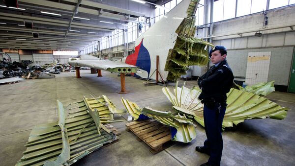 Moscú insiste en que se estudien todas las versiones de la catástrofe del MH17 - Sputnik Mundo