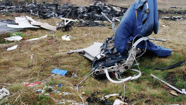 Restos del Boeing 777 derribado en el este de Ucrania (archivo) - Sputnik Mundo