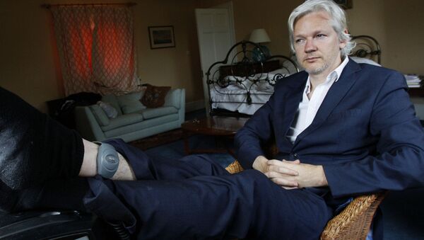 Julian Assange, fundador de Wikileaks - Sputnik Mundo