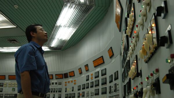 Dentro de una planta nuclear - Sputnik Mundo