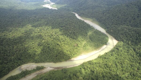Bosques de Amazonía (archivo) - Sputnik Mundo