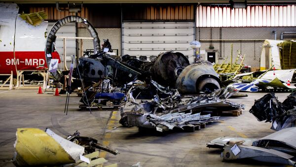 Restos del Boeing 777 derribado en el este de Ucrania - Sputnik Mundo