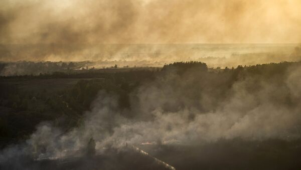 An aerial view from helicopter shows smoke from forest fires in northern Ukraine - Sputnik Mundo