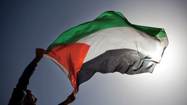 A Palestinian demonstrator waves a Palestinian flag. - Sputnik Mundo